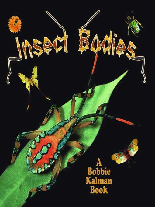 Title details for Insect Bodies by Molly Aloian - Available